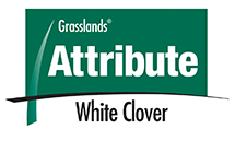 Tribute white clover Logo